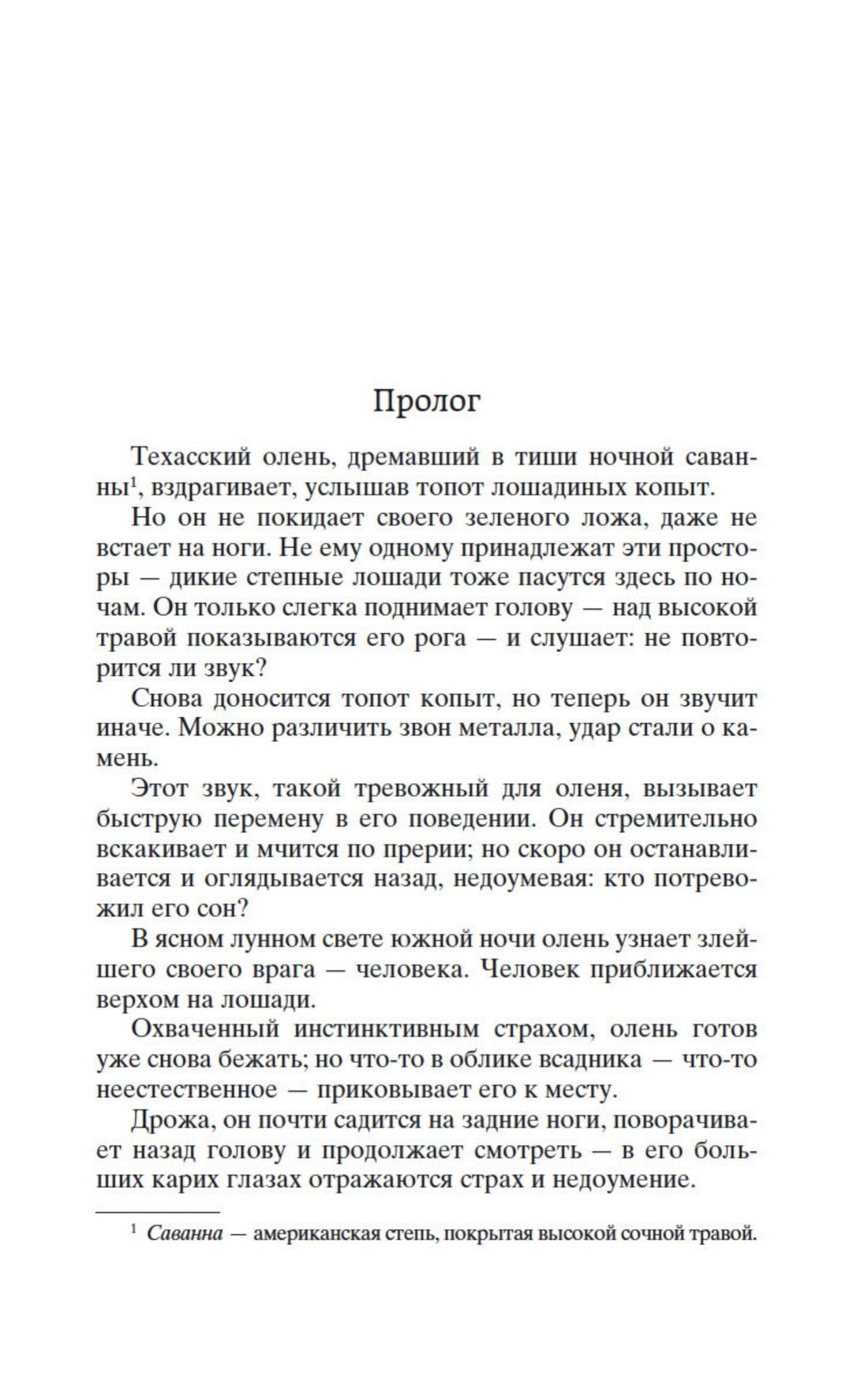 Всадник без головы | Vsadnik bez golovy - Ozon image 6