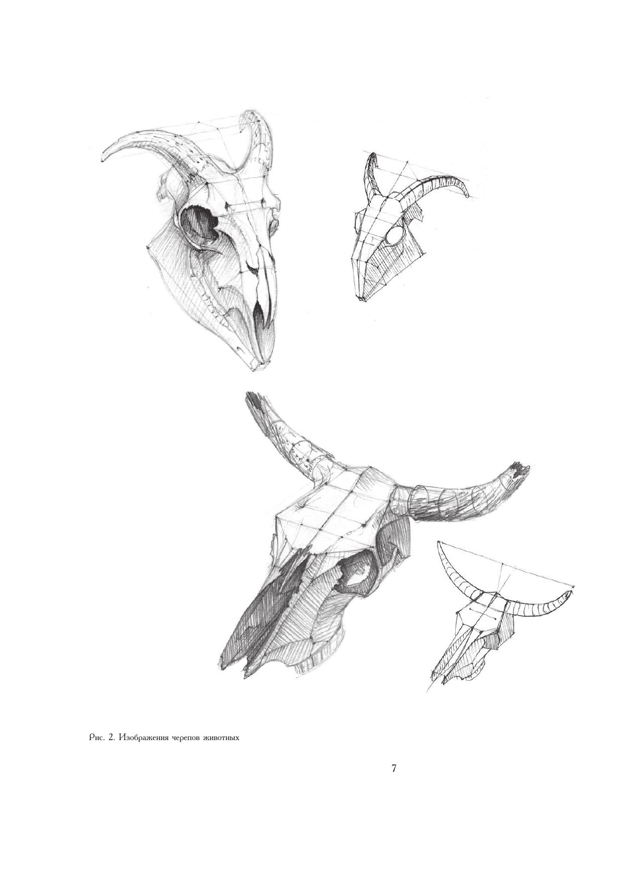 Рисунок. Основы учебного академического рисунка | Reference Book - Ozon image 7