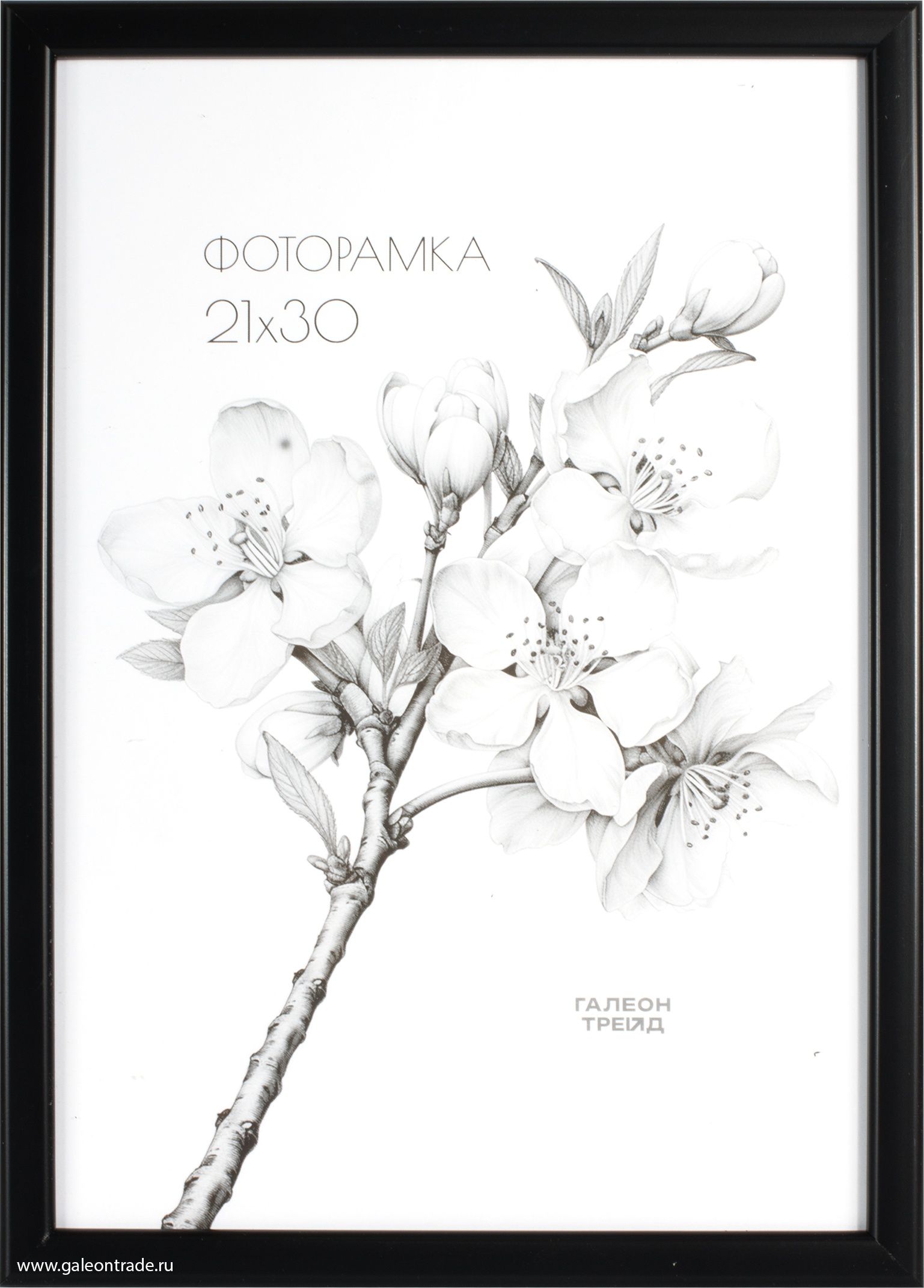 Фоторамка пластиковая, черная 21 х 30 см Фоторамка пластиковая, черная 21 х 30 см