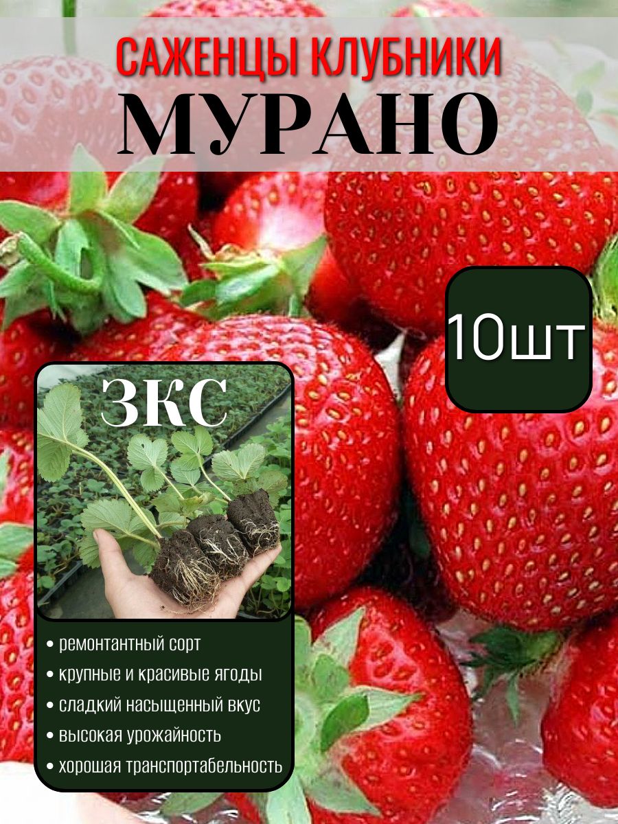 Клубни,3.31кг
