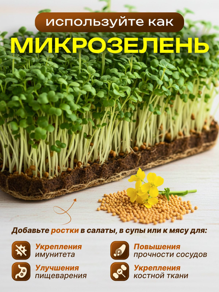 Горчица семена #1