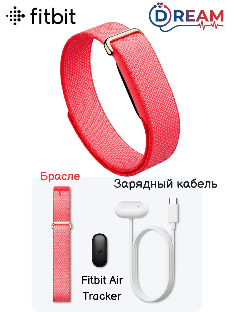 Google Fitbit Air google-fitbit-air