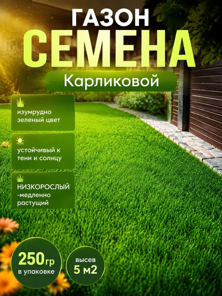Семена #1