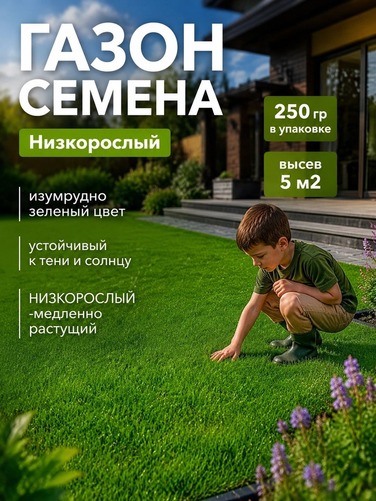 Семена #1