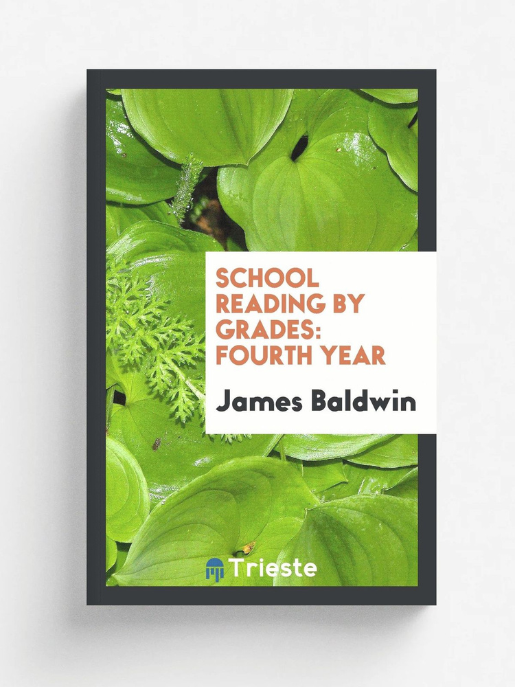 School Reading by Grades. Fourth Year #1