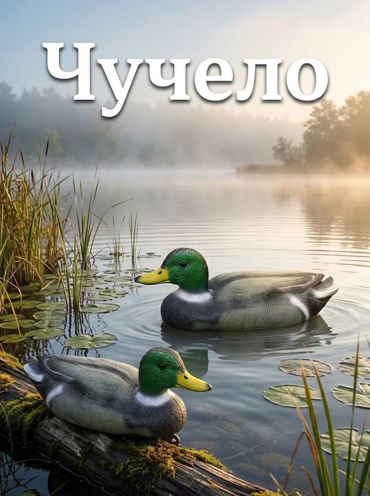 Чучело #1