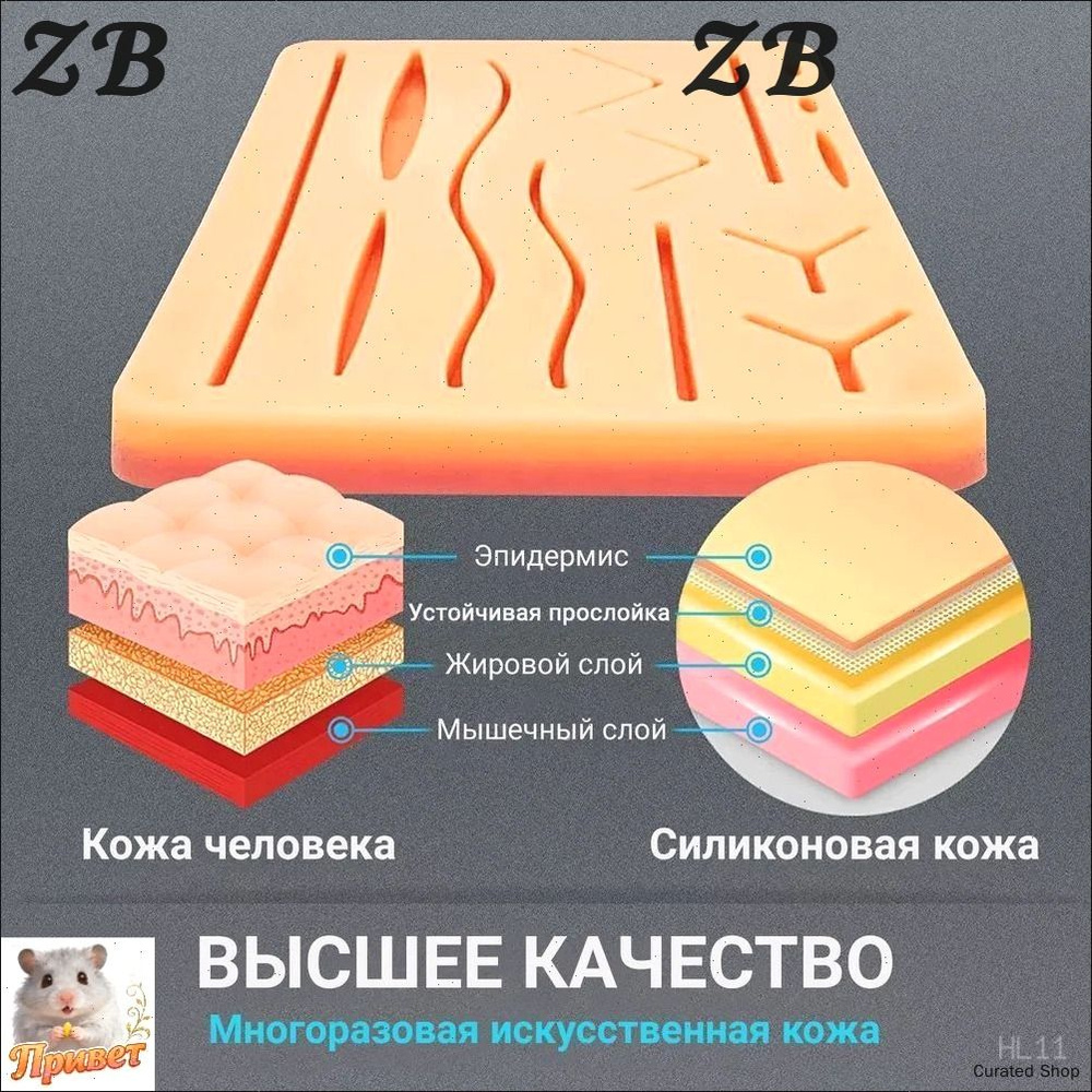 Анатомическая модель #1