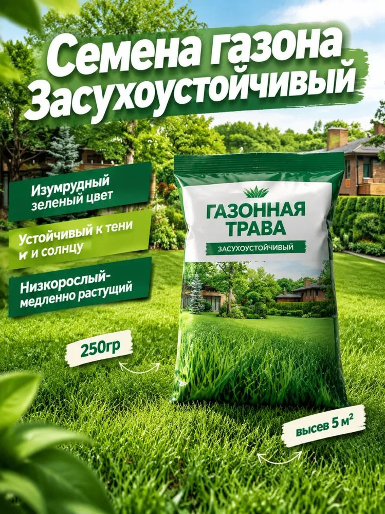 Семена #1