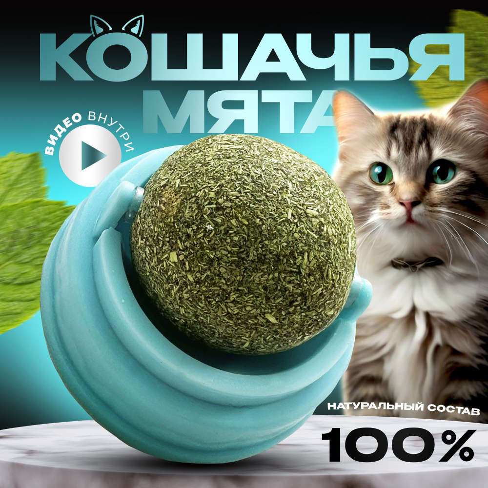 Лакомство для кошек, шарик с мятой, леденец для котов, игрушки для кошек