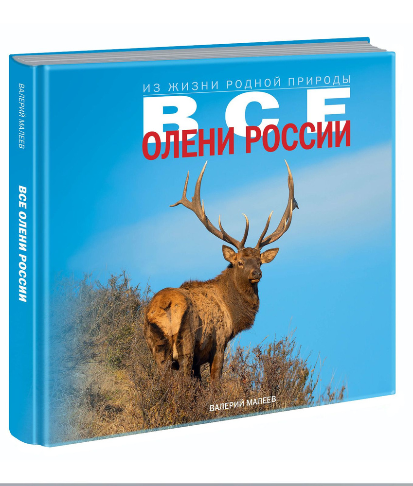 Все олени России | Малеев Валерий Геннадьевич - купить с доставкой по  выгодным ценам в интернет-магазине OZON (1472646096)