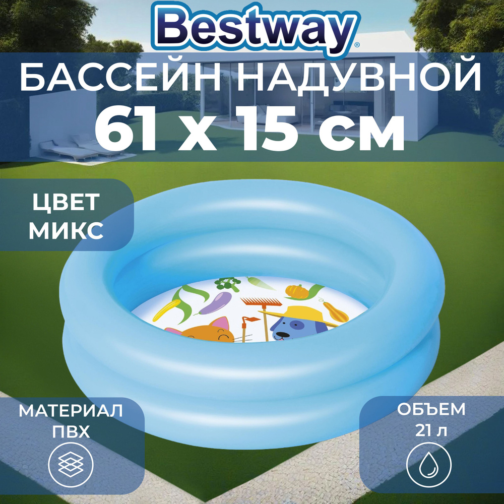 Бассейн надувной Bestway, диаметр 61, высота 15 см, от 2 лет, цвет в ассортименте, 51061  #1