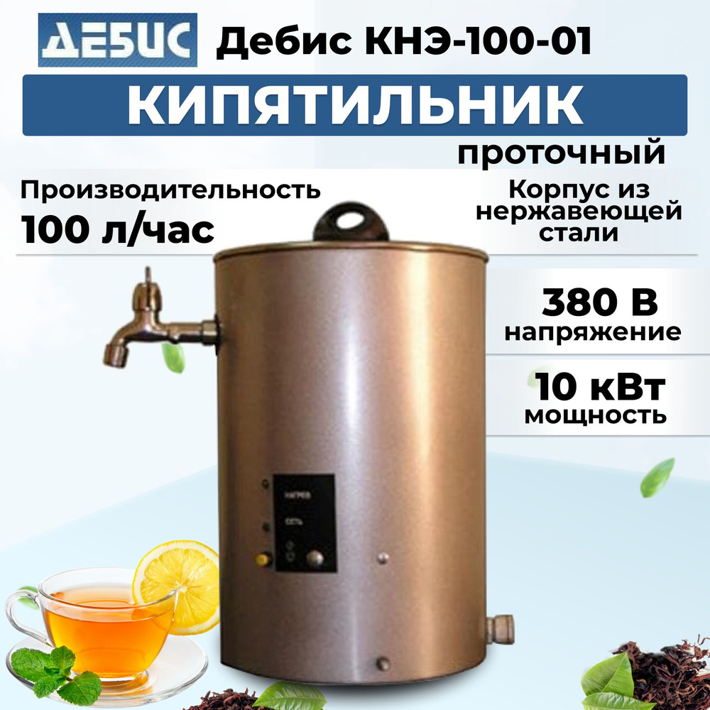 Кипятильник Дебис КНЭ-100-01 нерж/пластик - купить с доставкой по ...