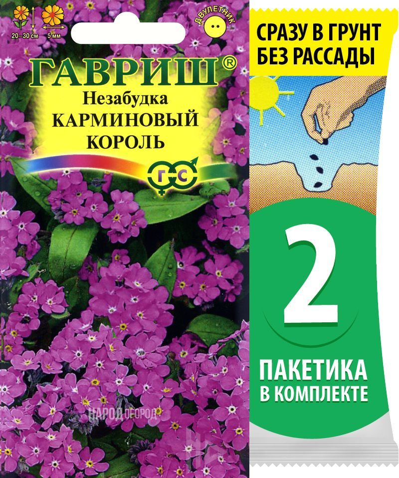 Семена Незабудка Карминовый Король, 2 пакетика по 0,05г/70шт  #1