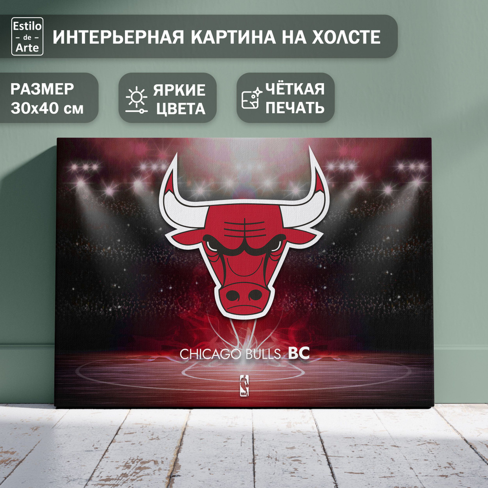 Картина интерьерная на холсте "Баскетбольный клуб Чикаго Буллз / Chicago Bulls", 30х40 см  #1