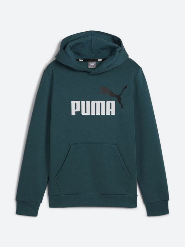 Худи PUMA Ess+ 2 Col Big Logo Hoodie Fl B #1