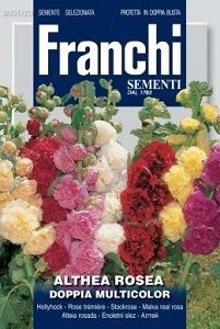 Franchi Семена ,1шт #1