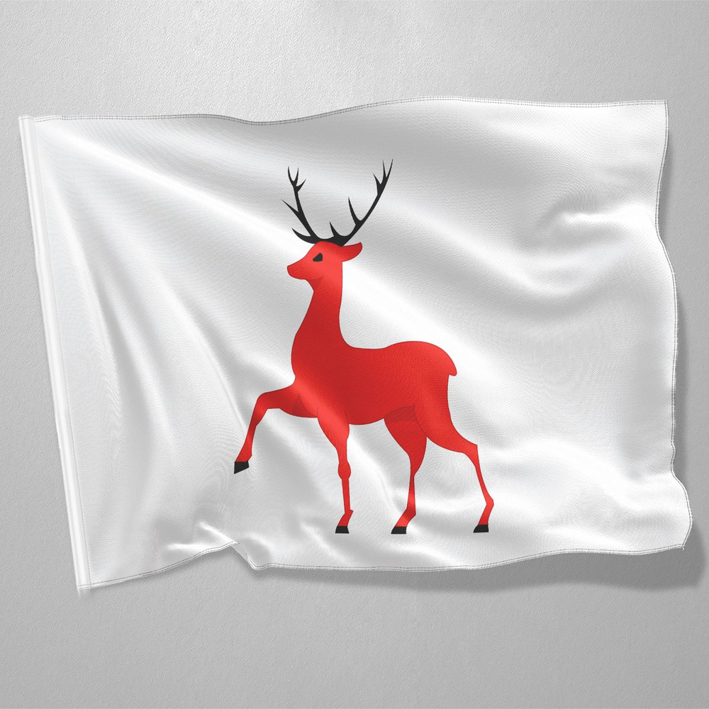 Флаг Нижнего Новгорода / Флаг города Нижний Новгород / 90x135 см.  #1