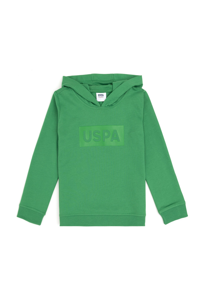 Худи U.S. POLO ASSN. #1
