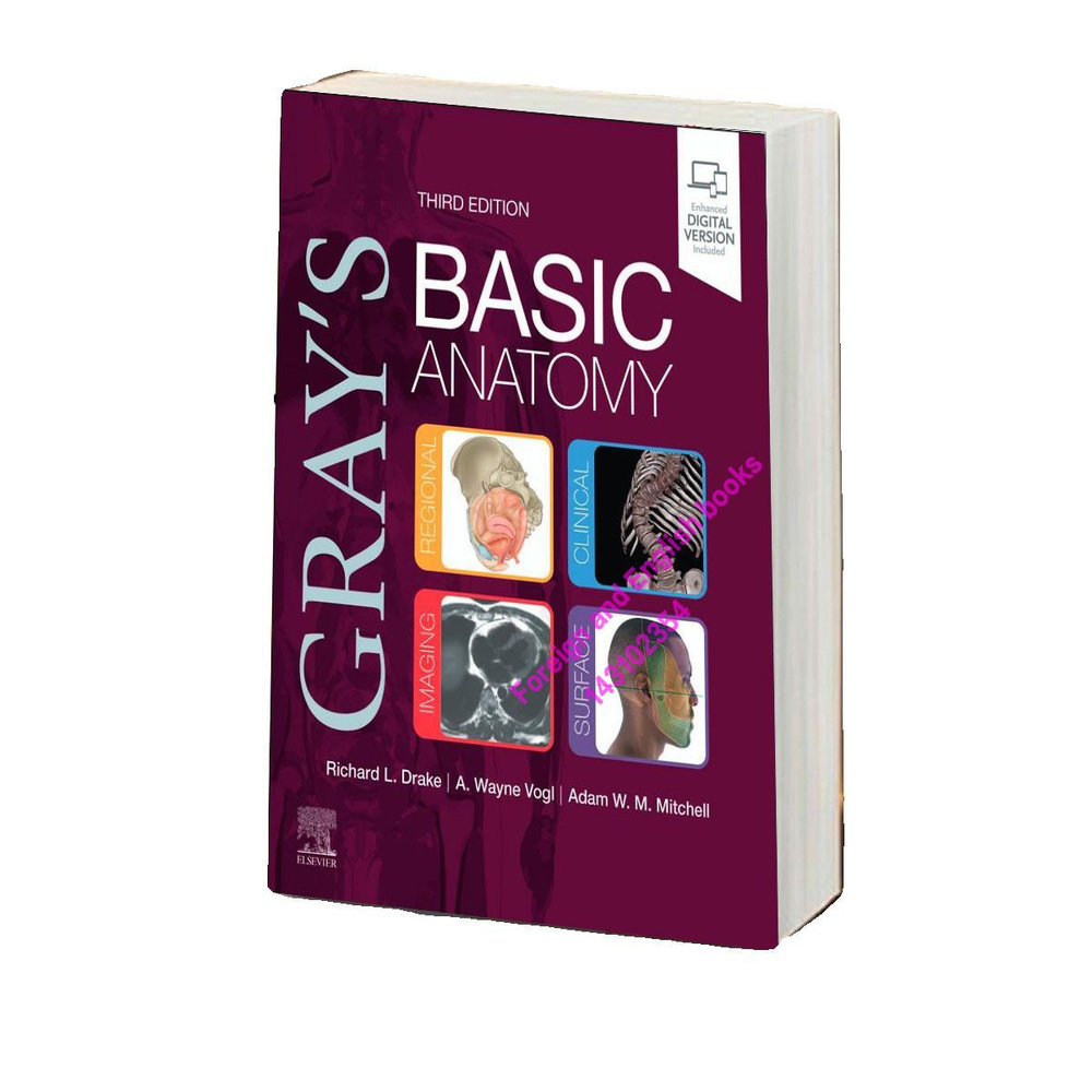 Grays Basic Anatomy Richard DrakePh DA Wayne #1
