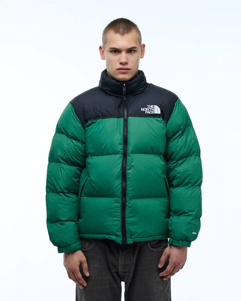 Пуховик The North Face #1