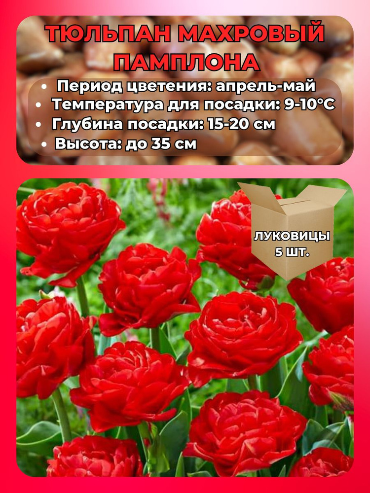 Magic Blooming Garden Луковицы,0.15кг #1