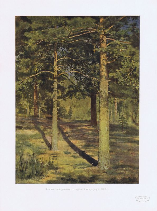 Пузикин Д. Н. Ромашки 50x40 cm 1993年 Пузикин Д. Н. Ромашки 50x40 cm 1993年 Пузикин Д. Н. Ромашки