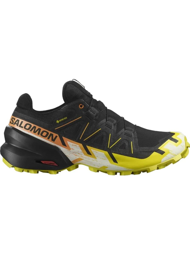 Кроссовки Salomon SPEEDCROSS 6 GTX #1