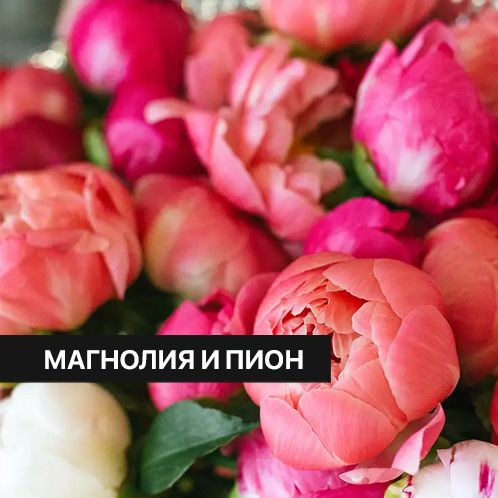 Отдушка CandleScience Magnolia and Peony 30 г (Магнолия и пион) #1