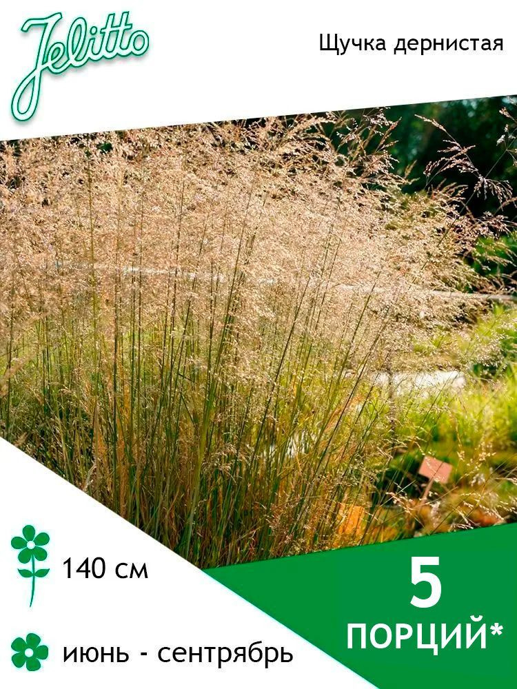 Семена Jelitto Щучка (луговик) дернистая (DESCHAMPSIA cespitosa) 5 порций  #1