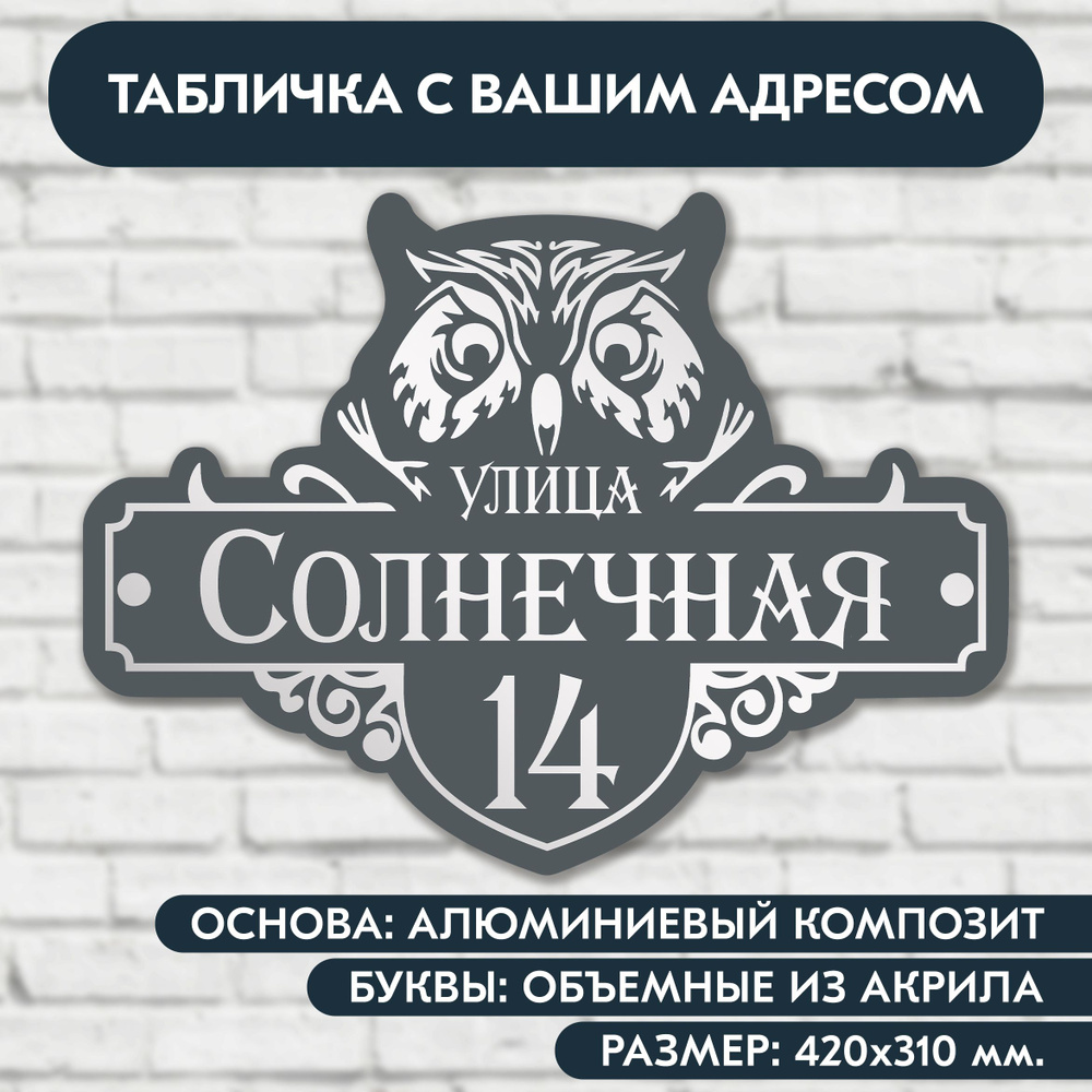 Адресная табличка на дом 420х310 мм. " Сова", с объёмными буквами из акрила с зеркальным серебром, в #1