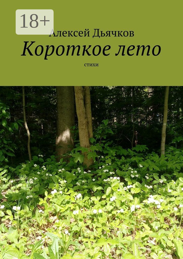 Короткое лето. Стихи | Дьячков Алексей #1