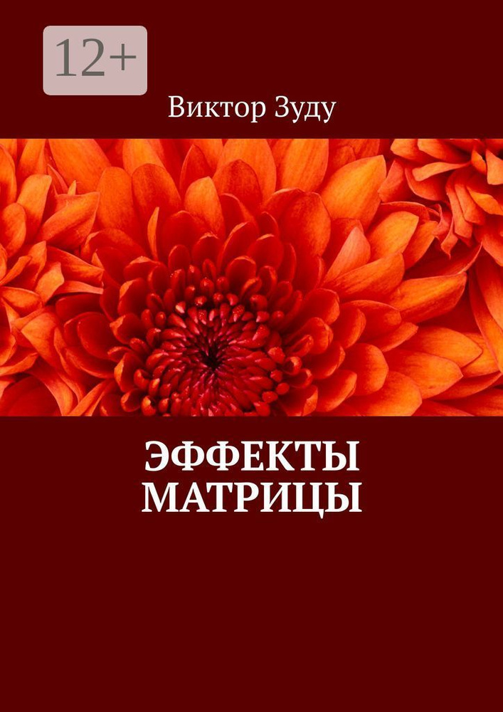Эффекты матрицы | Зуду Виктор #1