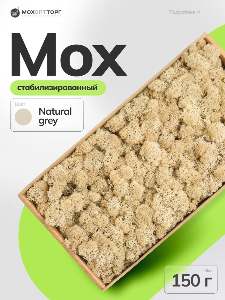 МОХОПТТОРГ Стабилизированный мох Мох, 7 см, 150 гр, 1 шт #1