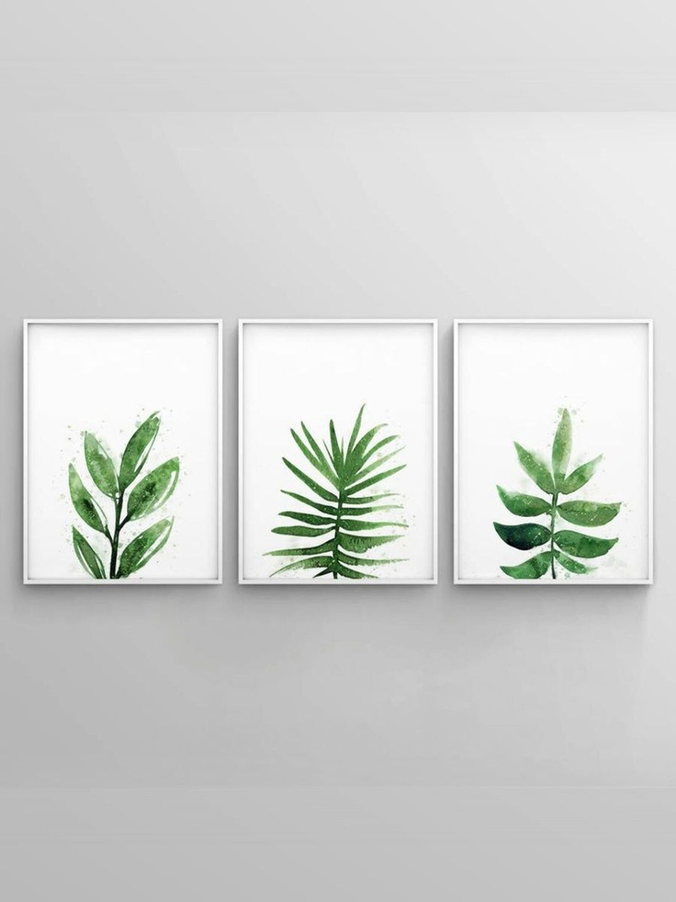 постеры на стену "Ботаника", 40х50см #1