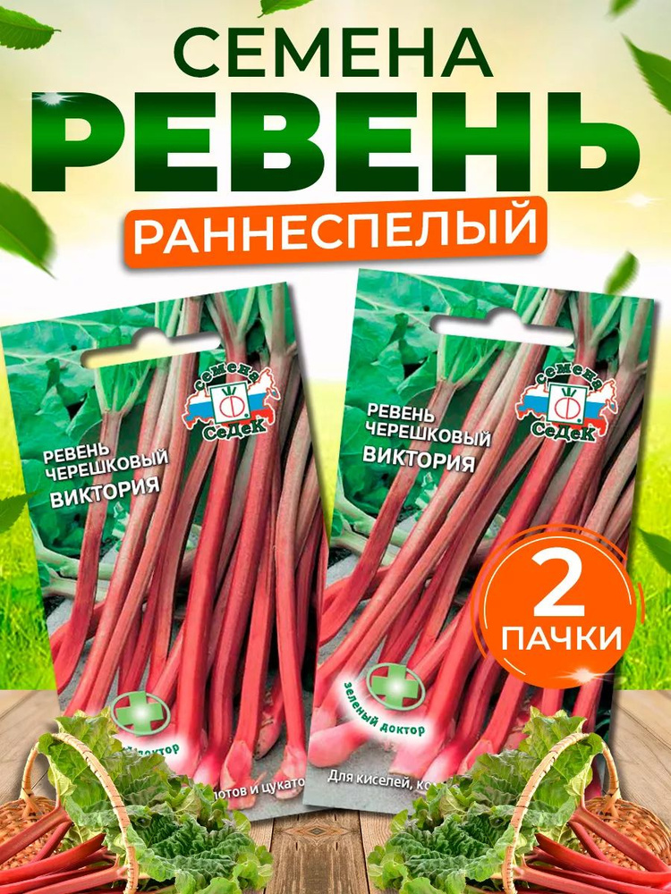 Семена Ревень черешковый Виктория #1
