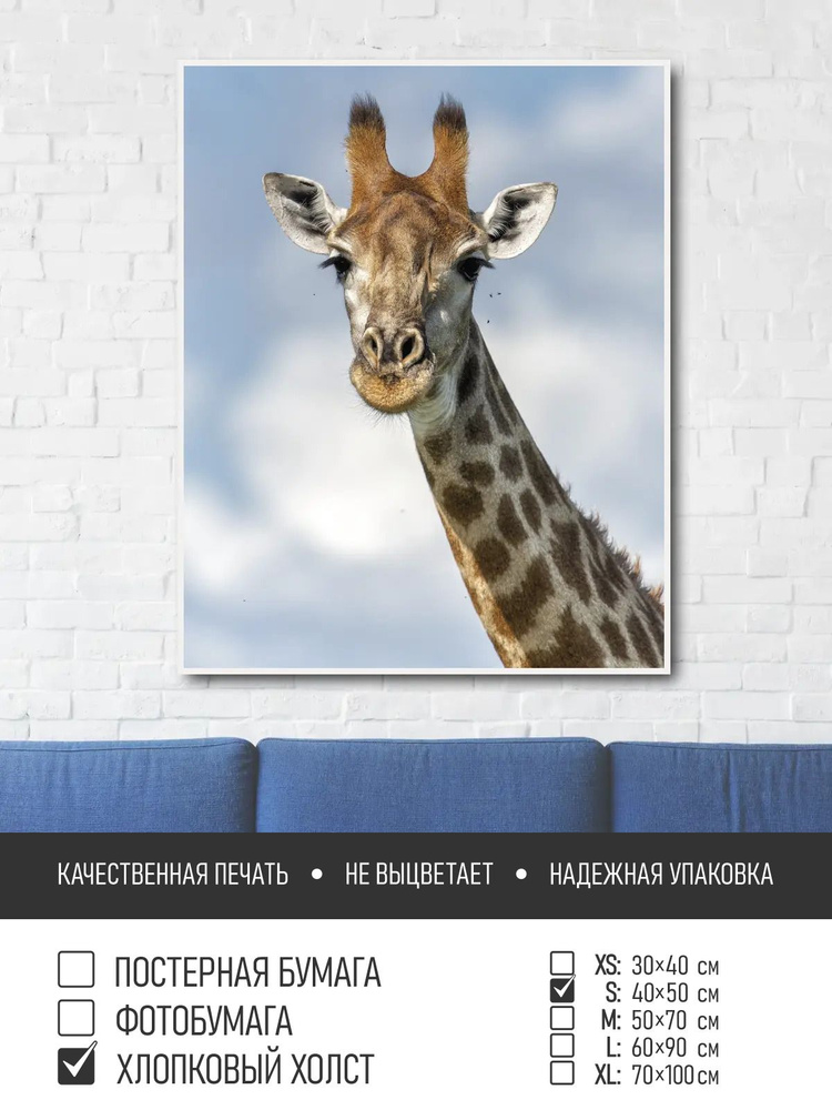 Постер на холсте Портрет жирафа из африки, 40х50 см ПолиЦентр #1
