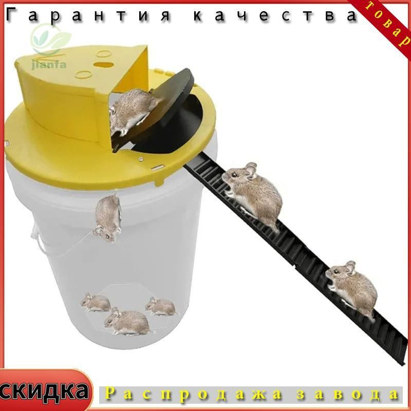 Крысоловка #1