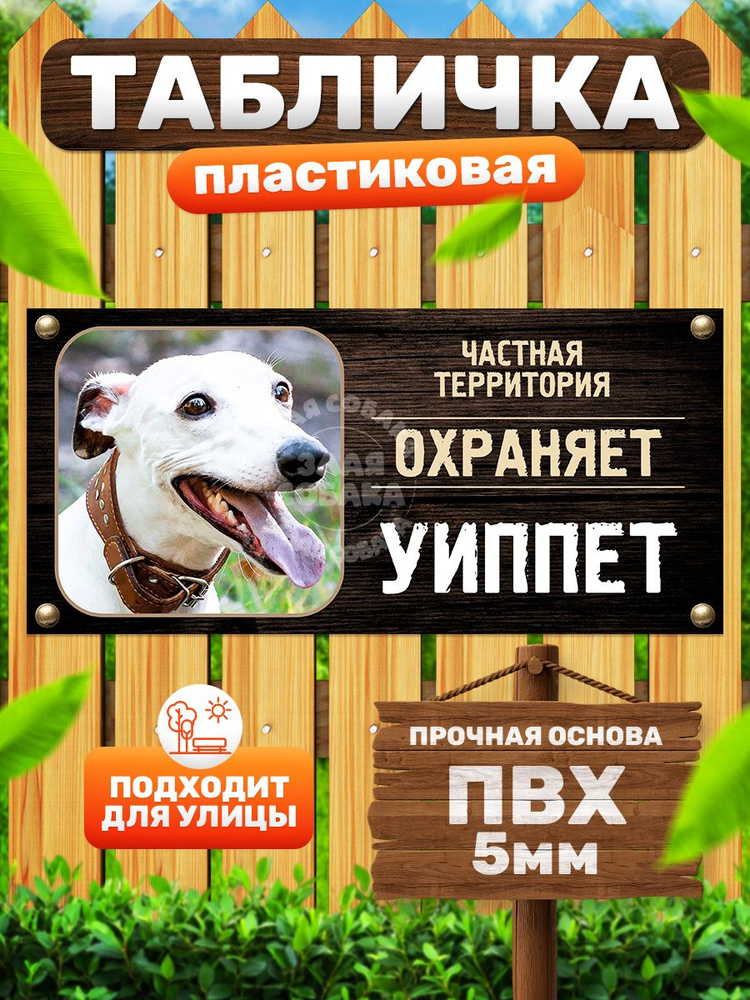 Табличка, Злая собака, Территорию охраняет Уиппет, 30см х 14 см, на забор, на дверь #1