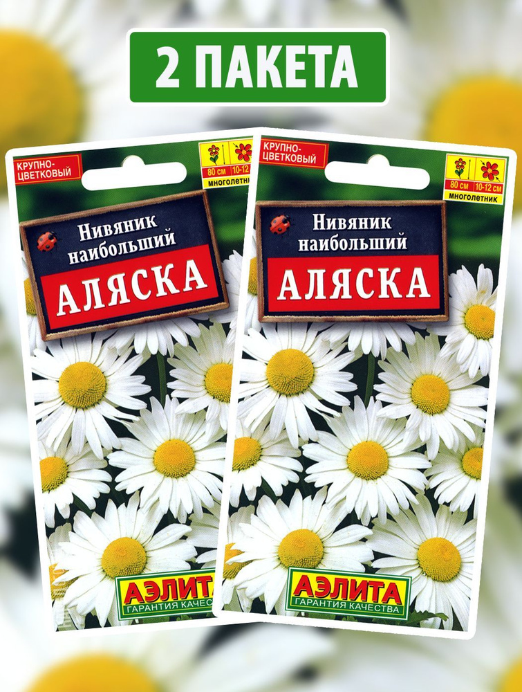 Семена Нивяник наибольший Аляска, 2 пакетика по 0,5г/350шт #1