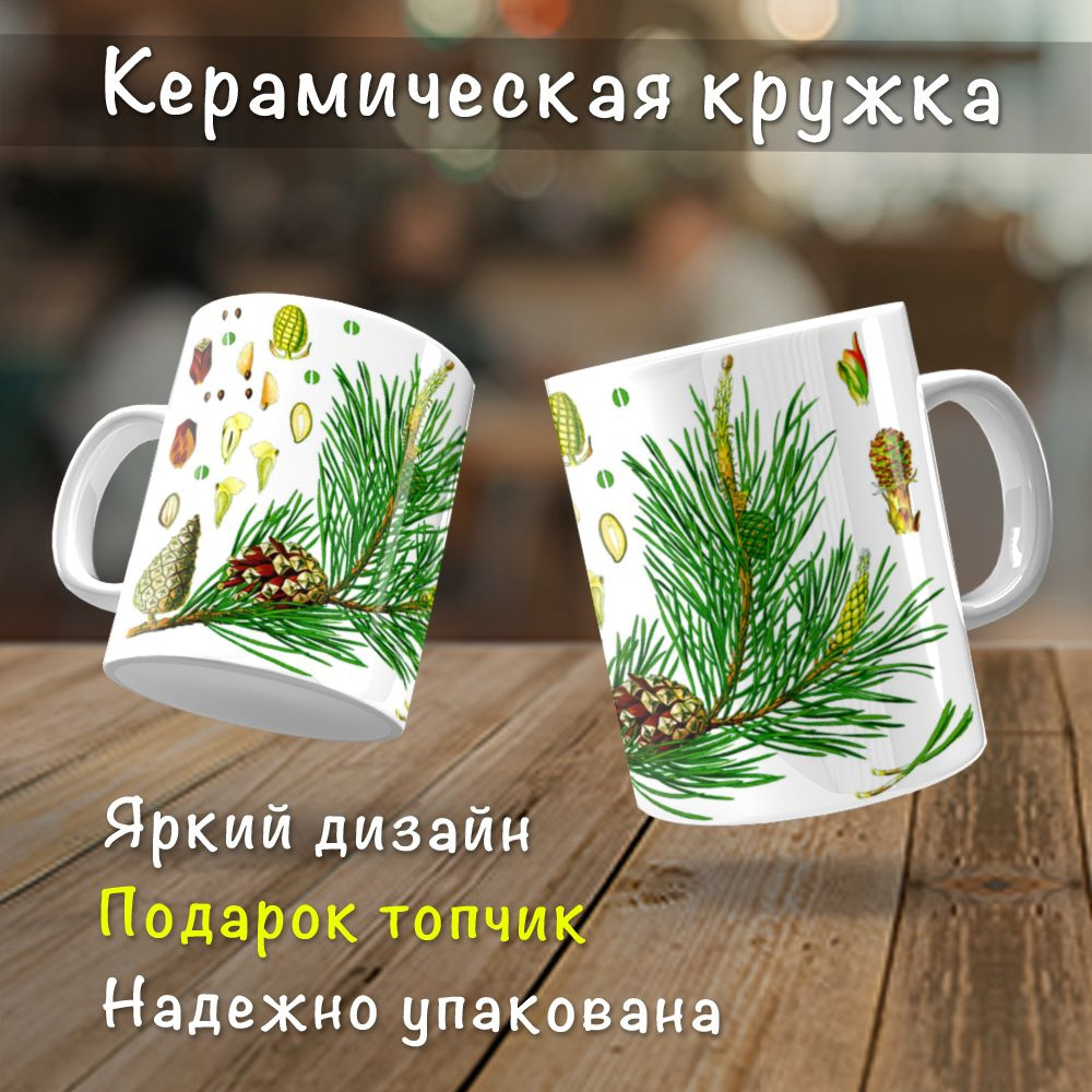 Кружка "Шишки 2 растения из иллюстраций", 330 мл, 1 шт #1