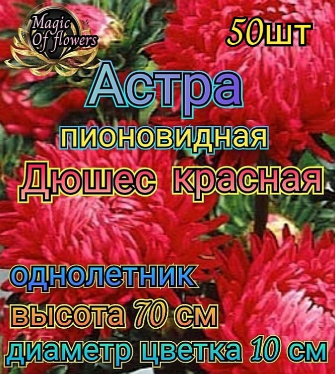Семена #1