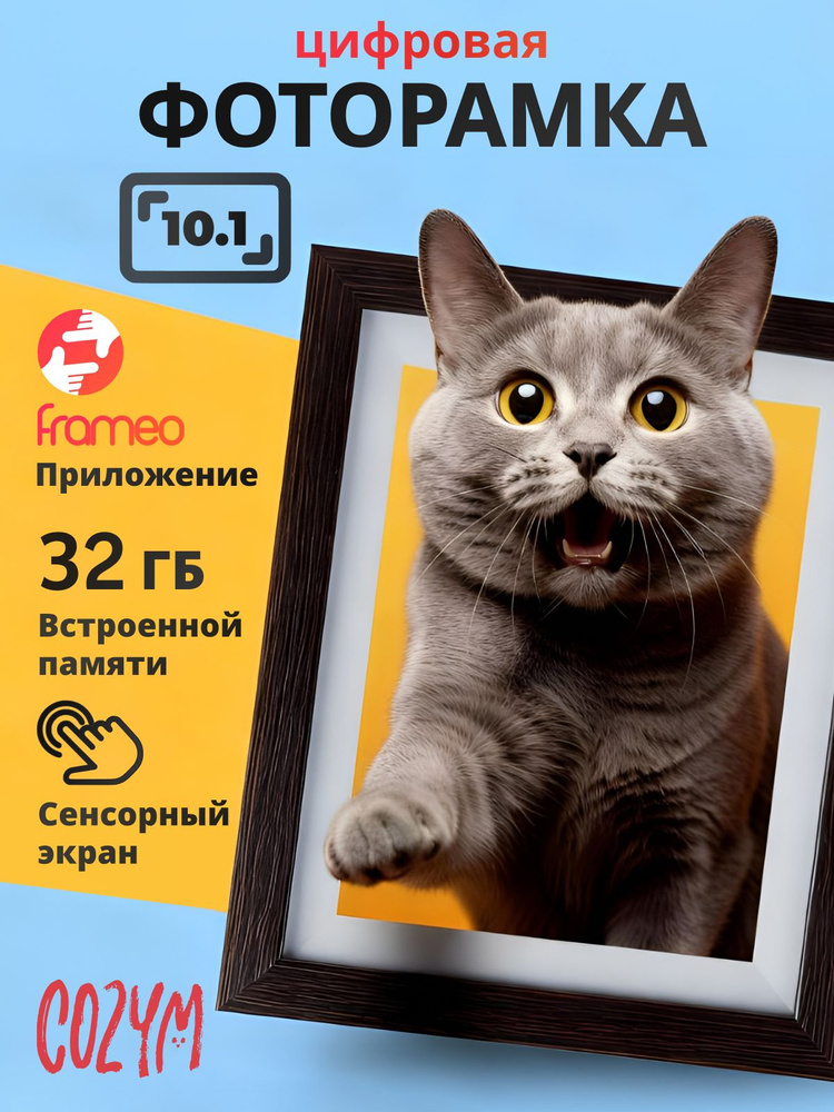 Цифровая фоторамка Wi-Fi 10 дюймов, Frameo #1