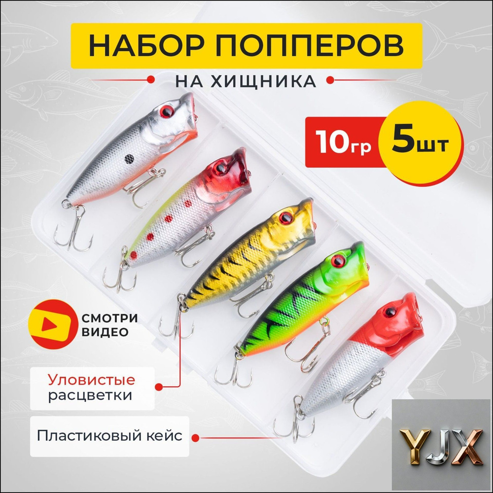 Поппер-b #1
