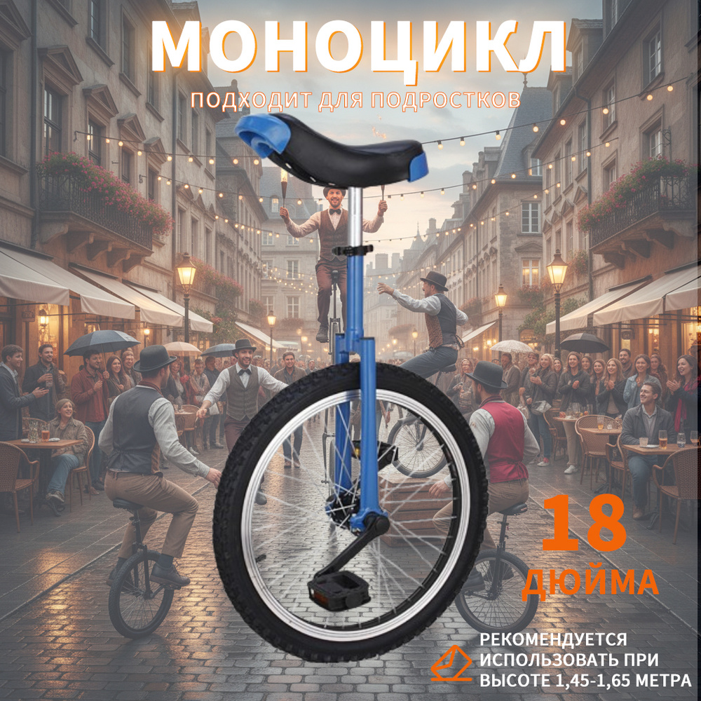Моноцикл, 85B2DDBC68014247A6BBD452E4100EB3 #1