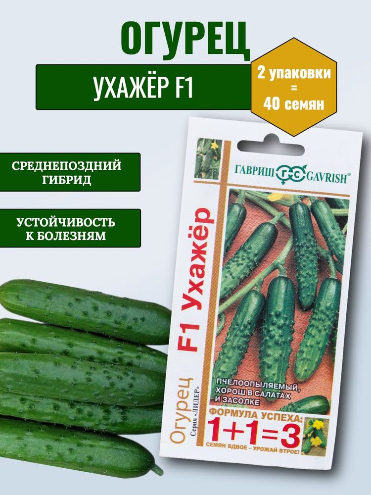 Гавриш Семена #1