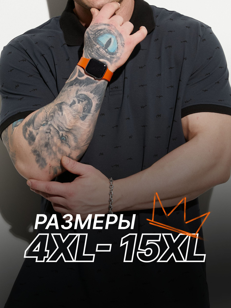 Поло MR. BIGMAN BIG SIZE #1