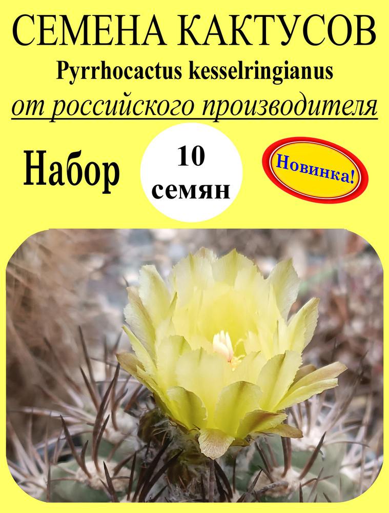 Семена #1
