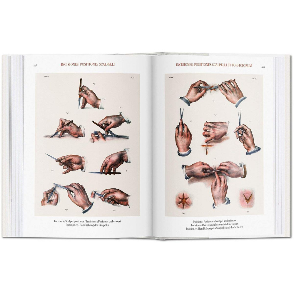 Atlas of Human Anatomy and Surgery купить на OZON по низкой цене ...