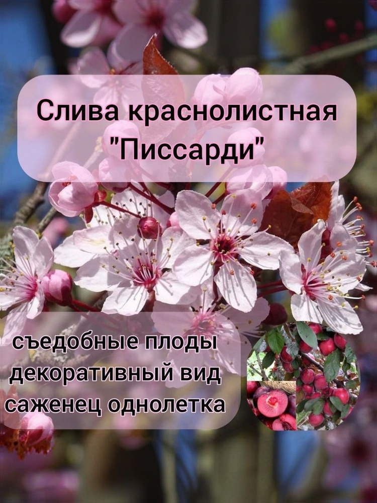 February Cancer Awareness Month 2026 February Cancer Awareness Month 2026
