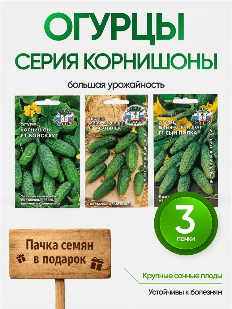 СеДеК Семена #1